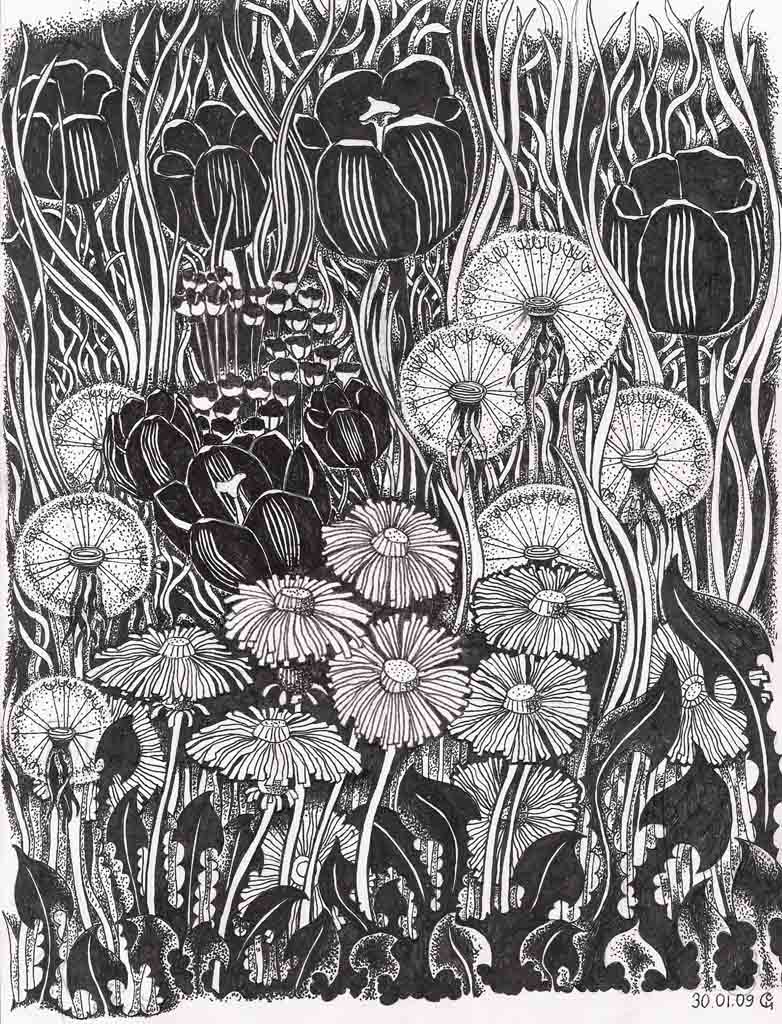 Цветы (графика)