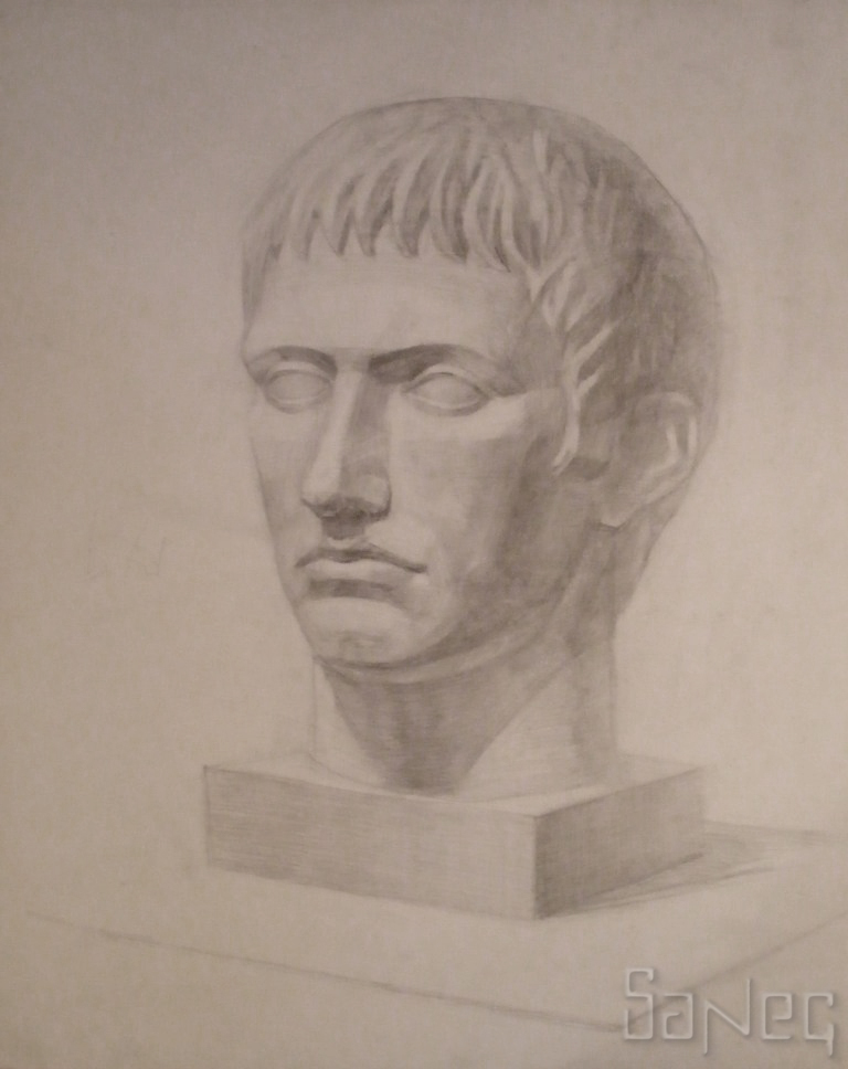 Гипсовая голова