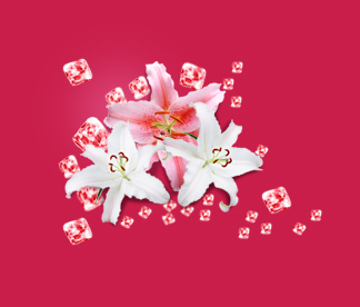 Иконка соль