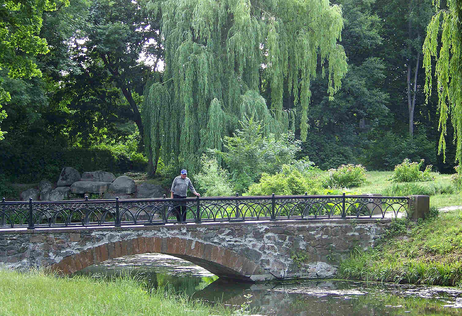 Дендропарк "Олександрія"-Фотоетюд
