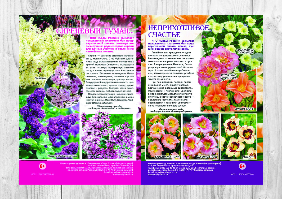 Вёрстка журнала "Сады России, примеры вёрстки.