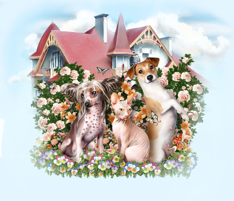 Заставка для сайта