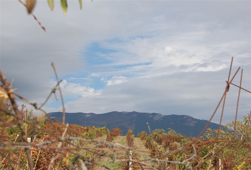 Что можно увидеть через забор :)