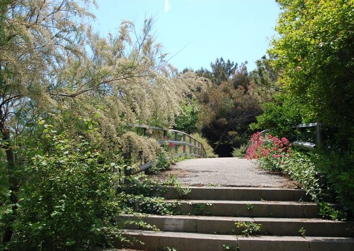 Жемчужина. Мостик