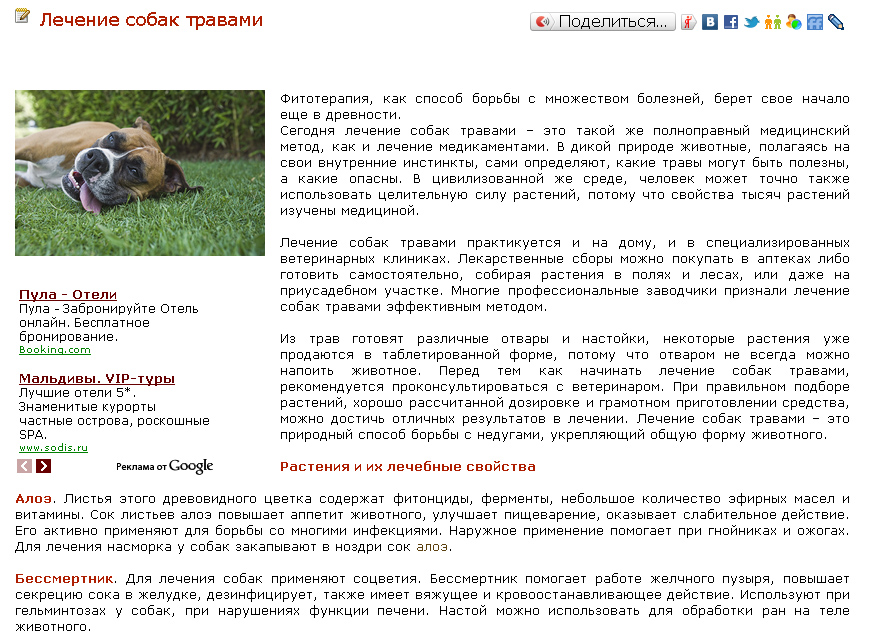 Лечение собак