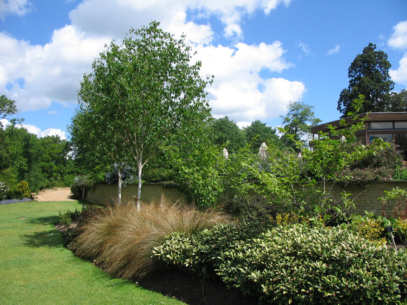 Фрагмент ландшафта