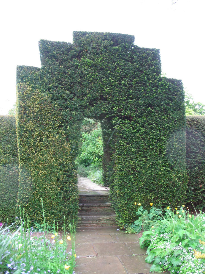 Арка, живая изгородь