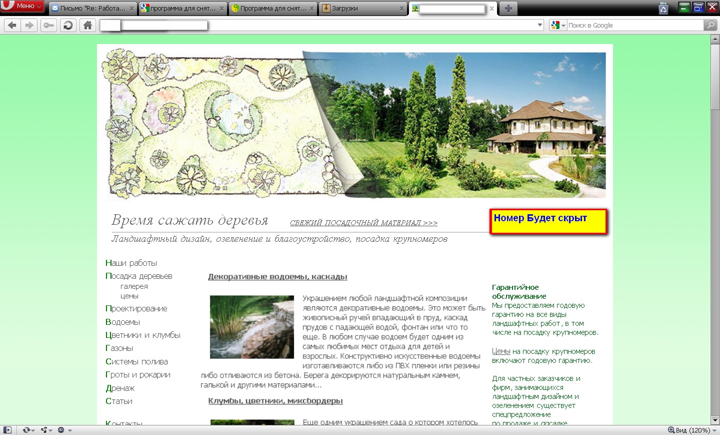 Сайт о Деревьях