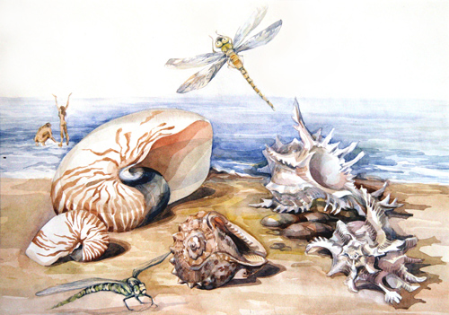 Берег моря.