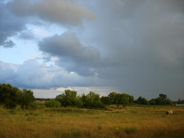 "Быть дождю"