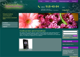 Интернет-магазин, Magento