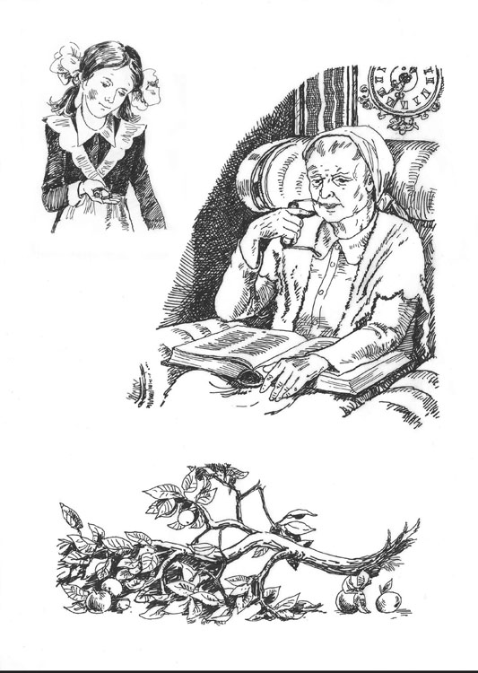 "Моя дорогая мама" Иллюстрации