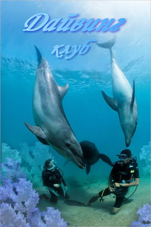 Наружная реклама для "Дайвинг клуба"