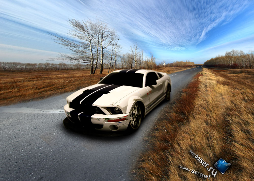 Jada. Ford Mustang на трассе Р-382 из г.Карасук