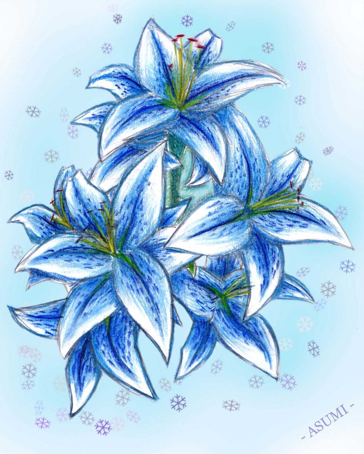 Северные лилии