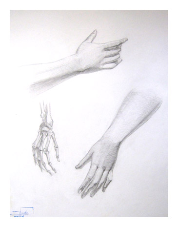 Учебный рисунок