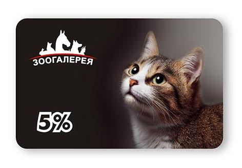 Дизайн серии пластиковых карт для зоомагазина
