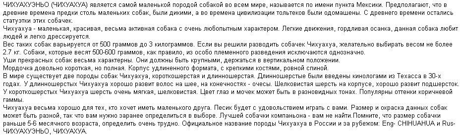 Порода собак Чихуахуа