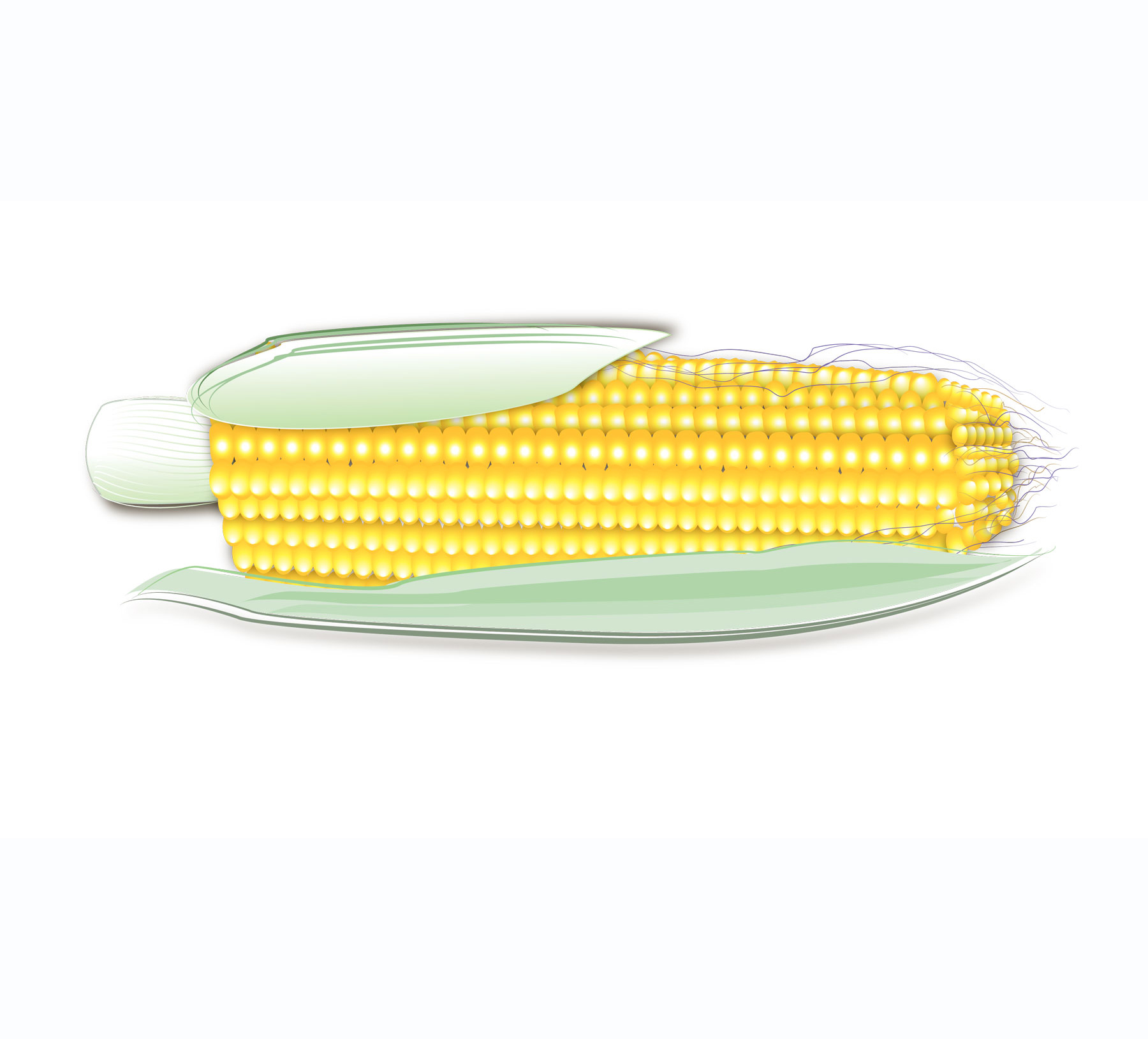 a corn
