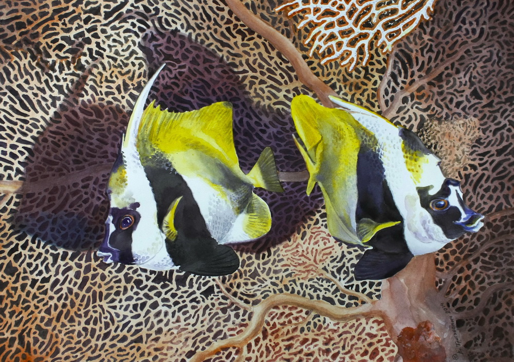 Тропиканки