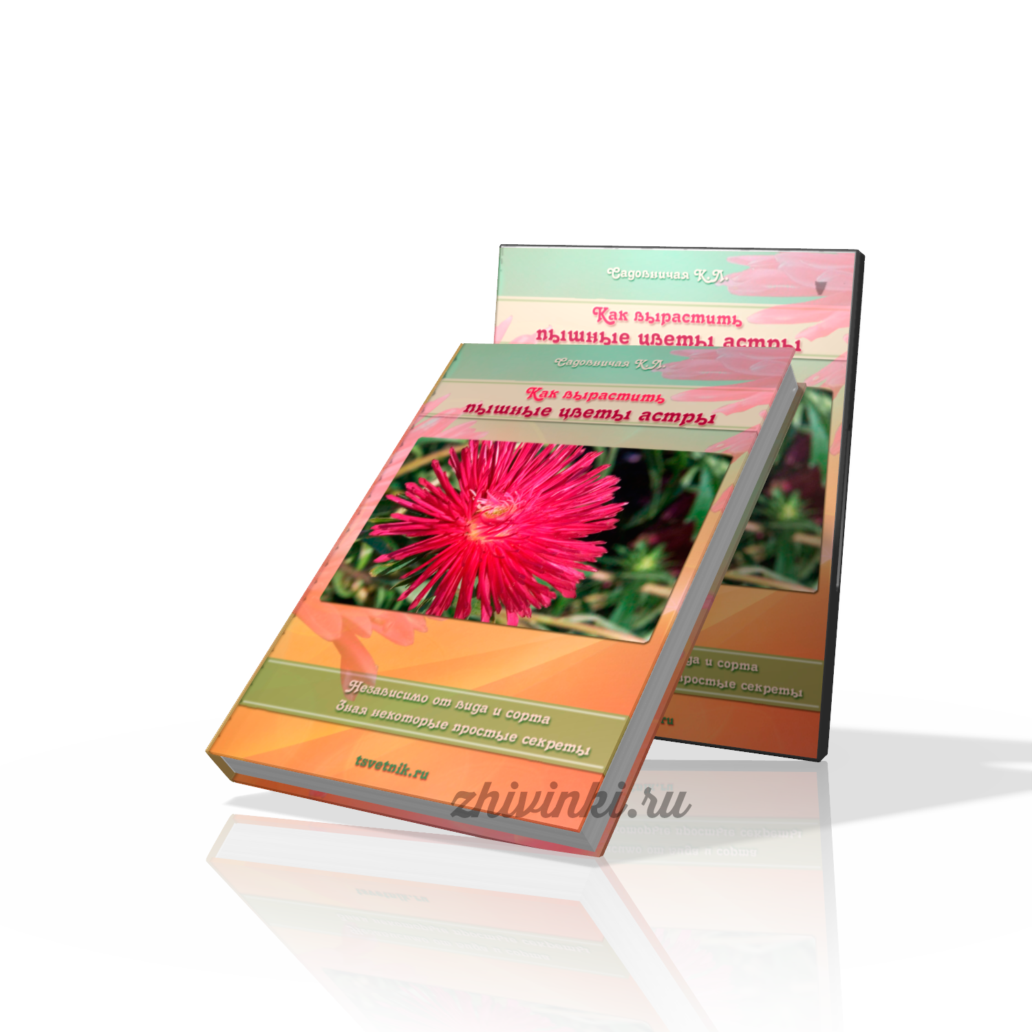 Дизайн 3d-обложек