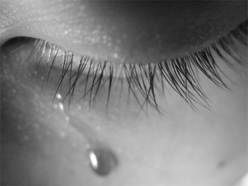 так и знала...