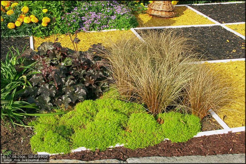 4 Московский фестиваль цветочного оформления "Мир спорта" (Л