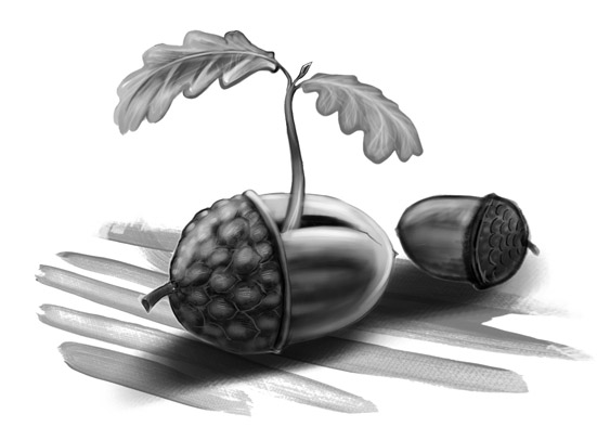 The Acorn("Three Shoes in a Pair "by Edward Holden)