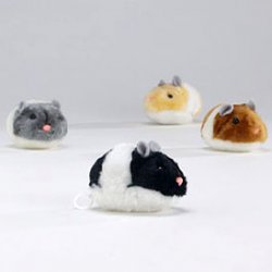 7 полезных подарков для котовладельца