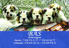 Карманный календарик