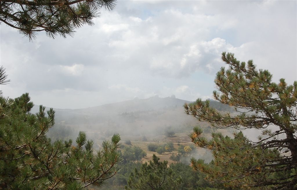 Погода меняется на глазах :)