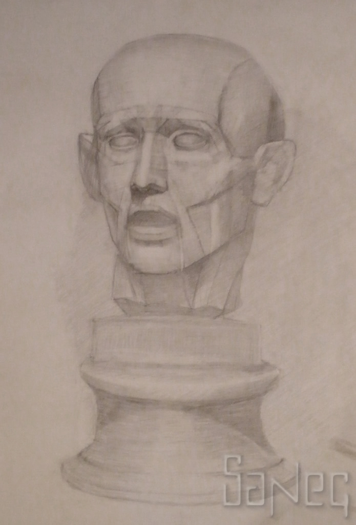 Анатомическая голова