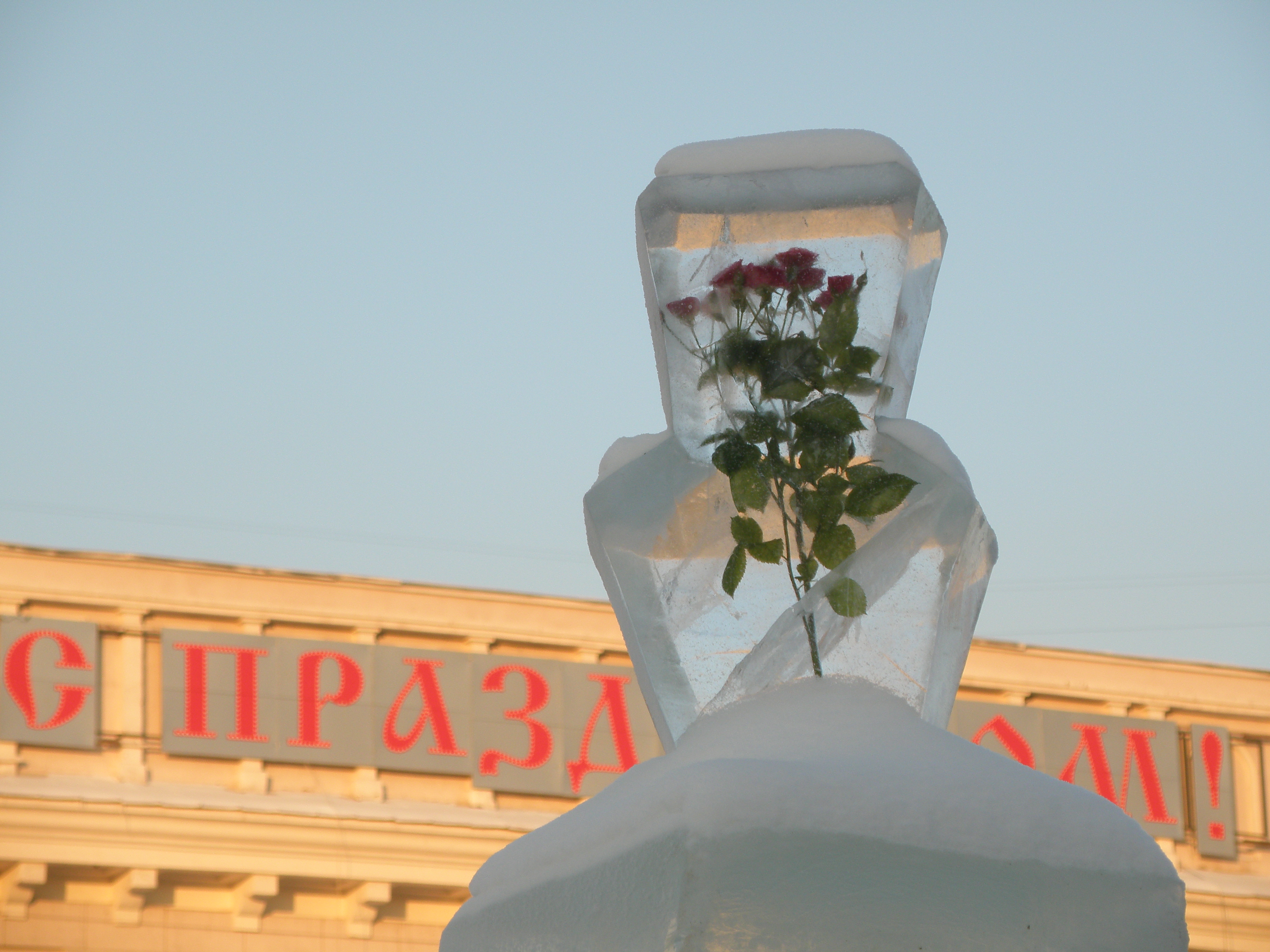 роза во льду