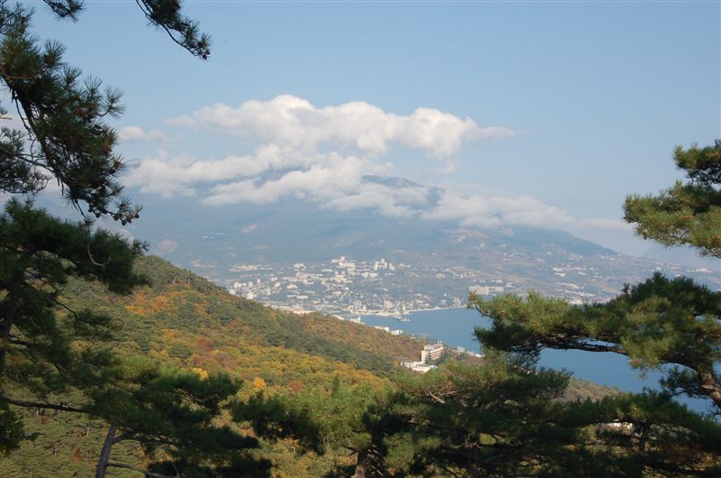 На это можно смотреть бесконечно...