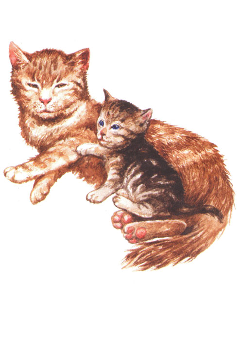 рис.с10 разв.пособие