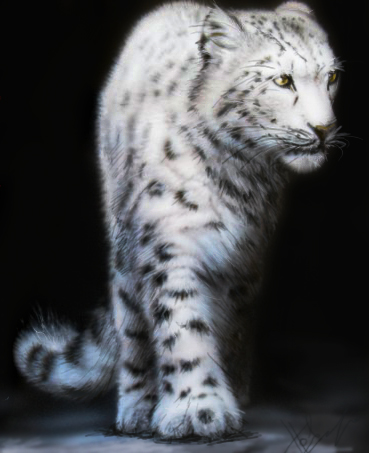 фотошоп, работа на планшете