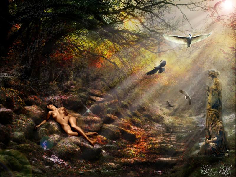 Зачарованный лес