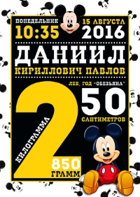 Уменьшенная копия