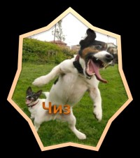 Уменьшенная копия