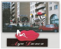 Уменьшенная копия