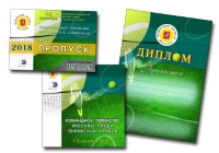 Уменьшенная копия