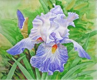 Уменьшенная копия