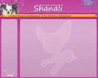 Уменьшенная копия