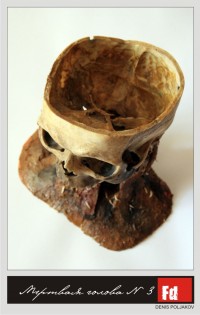 Уменьшенная копия