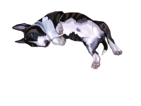 Уменьшенная копия