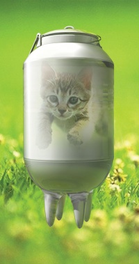 Уменьшенная копия