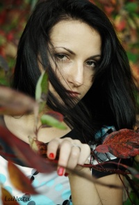 Уменьшенная копия