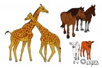 Уменьшенная копия