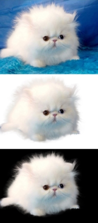 Уменьшенная копия