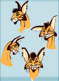 Уменьшенная копия